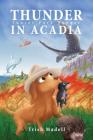 Thunder in Acadia: Junior Park Ranger By Erick Sulaiman (Illustrator), Trish Madell Cover Image