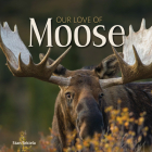 Our Love of Moose (Our Love of Wildlife) By Stan Tekiela Cover Image