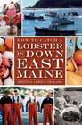 How to Catch a Lobster in Down East Maine (American Palate) By Christina LeMieux Oragano Cover Image